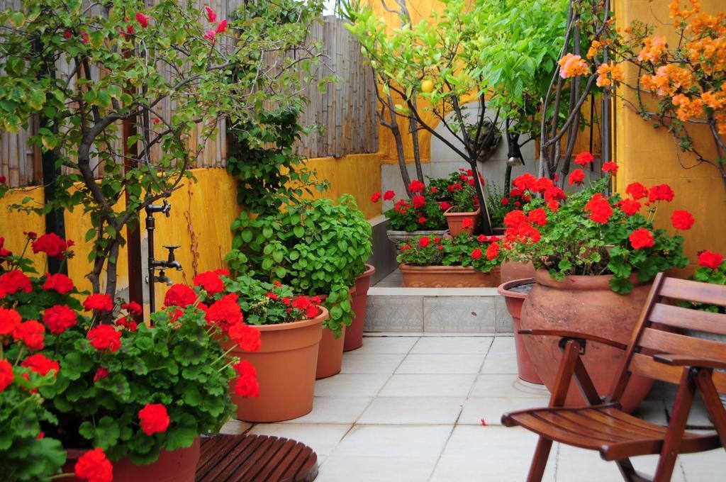 Bed and Breakfast Optimus Ba Buenos Aires Camera foto